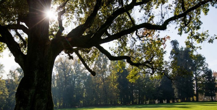 Monza_Parco Villa Reale-2~01