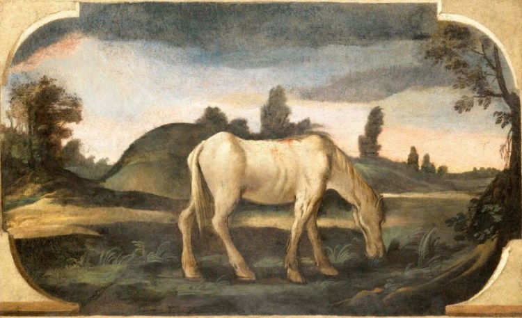 guercino - mostra cento