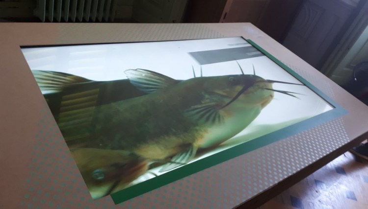 muva trezzo villa gina _-