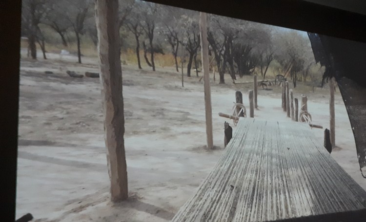 mi cama es un jardin