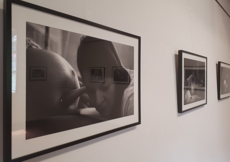 niurka barroso - my own war